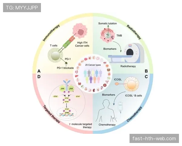 巴尔韦德B2B全能覆盖能力的机制与实战价值解析